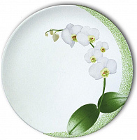 Тарелка десертная 21 см Luminarc P6436 White Orchid