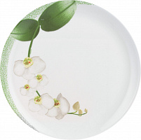 Тарелка обеденная 25 см Luminarc J7484 White Orchid